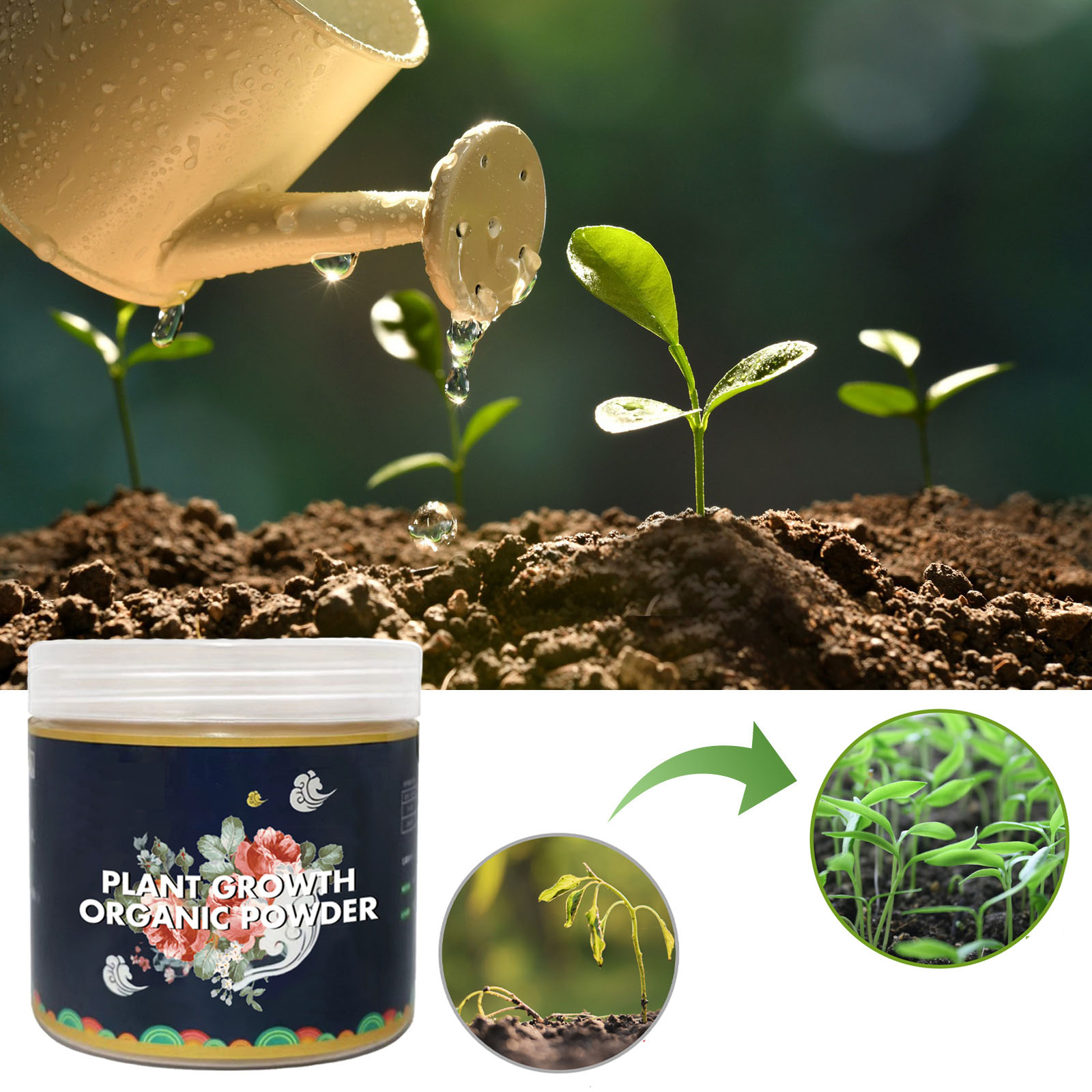 Polvo de enraizado rápido, mej - Rooting Hormone Powder reseña y precio